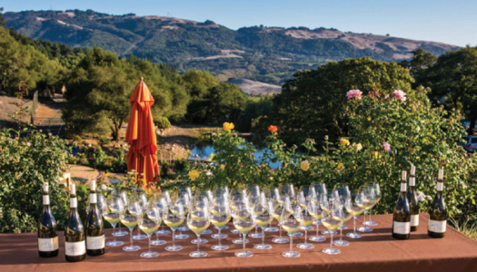 Vino Adventures: The Sonoma Shuffle (A Trip to Wine Country)
