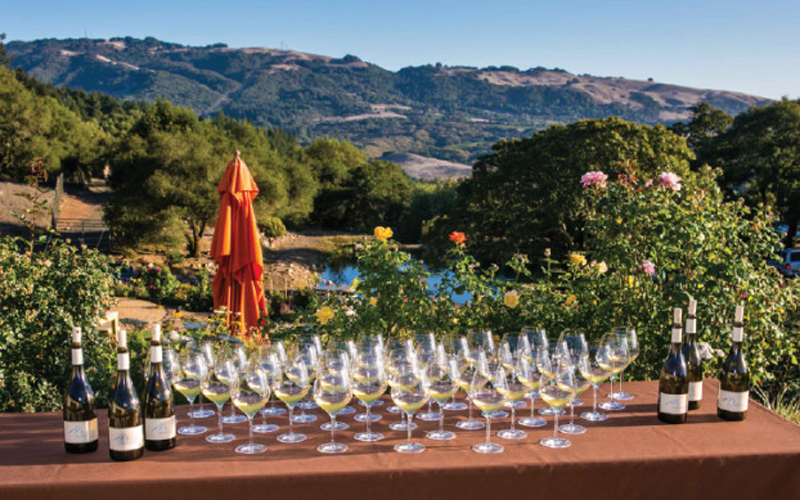 Vino Adventures: The Sonoma Shuffle (A Trip to Wine Country)